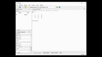 Estrazione di una riga dalla matrice su Octave