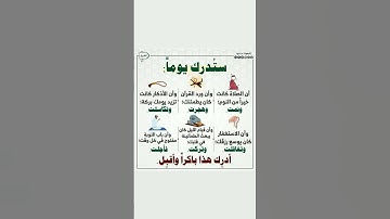 تلاوة خاشعة 🌼 #duet #quran #اكسبلور #العظماء #qurankareem #الظروف #لايك #تيك_توك #tilaawah