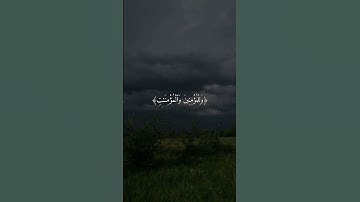 سورة نوح ٢٨ | القارئ محمود علي البنا#قرآن
