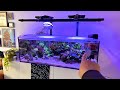 Reef tank update june 2023  waterbox 1054 frag saltwater aquarium reef tank update  tank tour