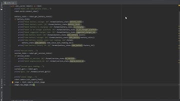 Anki Vector Battery, Version, Gyro and Camera check