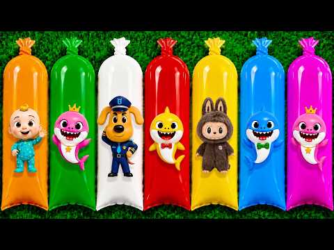 FINDING : Baby Shark, Pinkfong, Daddy Shark, Grandma Shark, Grandpa Shark, William, Mommy Shark.