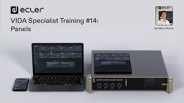 VIDA Specialist Training #14: Panels