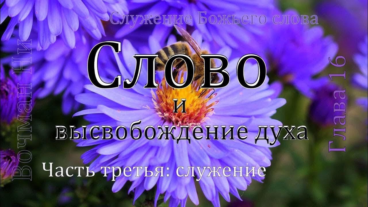Основа духа