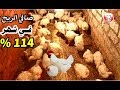 بحث عن مشروع صغير ناجح براسمال صغير الربح صافي أكثر من 100 %