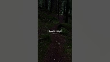 إن الذين آمنوا والذين هاجروا وجاهدوا في سبيل الله" محمد أيوب  #القرآن_الكريم #قرآن #تلاوات