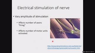 Muscle, EMG, and Skeletal Muscle Function Lab Overview