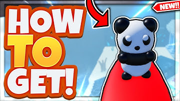 How To Get The *SURFER PANDA* In Roblox Find The Pandas!