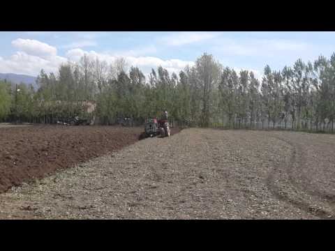 Massey Ferguson 175 & Massey Ferguson 260 GOLD (UZEL) ÇİFT SÜRME