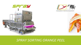 Spray optical sorting machine for orange peel | RAYTEC VISION SpA