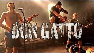 Don Gatto (Live in Vienna 2026)