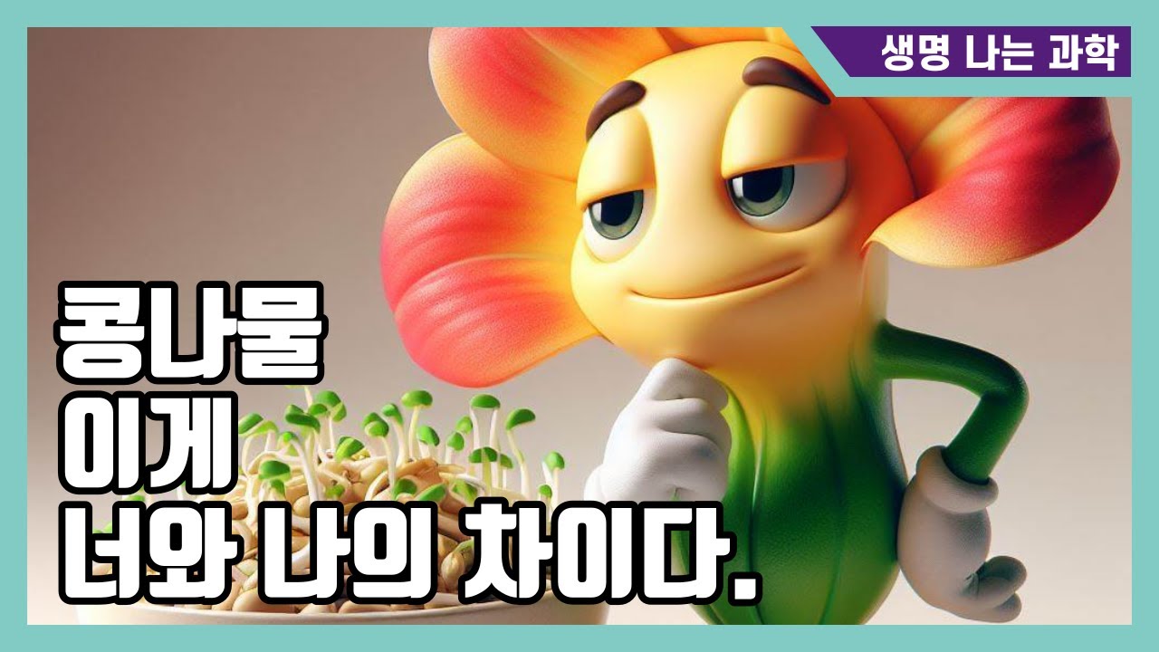 쌍떡잎식물 외떡잎식물 줄기 비교 실험 - YouTube