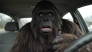 Bigfoot Tries Uber for the First Time (Instant Regret)