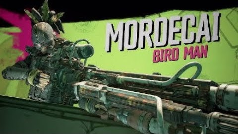 Borderlands 3 - Mordecai