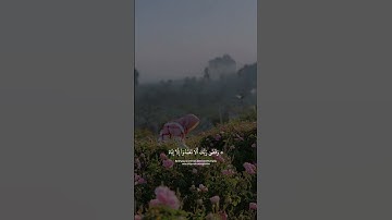 اكتب شيء تؤجر عليه : سورة الإسراء : القارئ: ياسر الدوسري