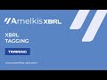 Amelkis xbrl tagging training