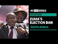 ANC support uncertain before South African election, Jacob Zuma barred from running | The World
