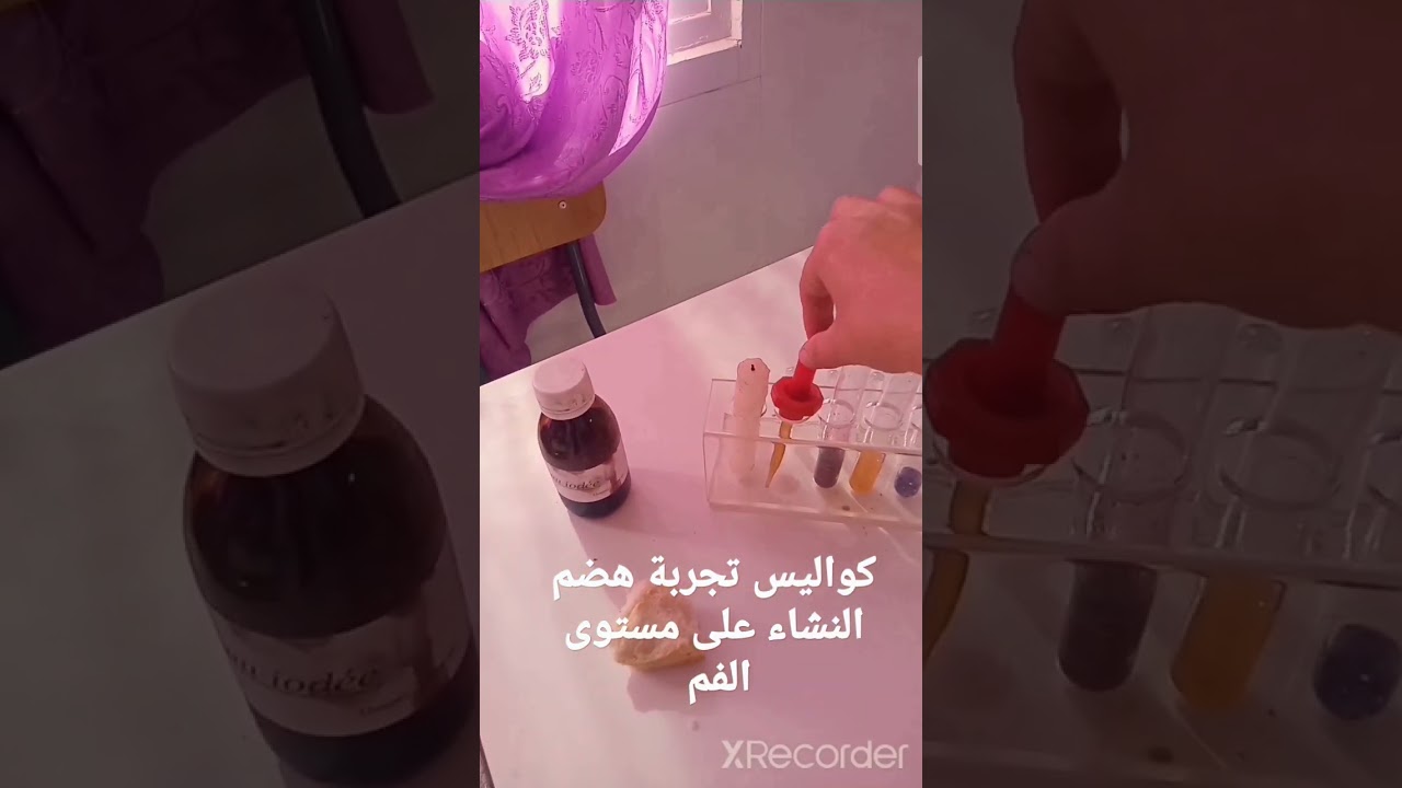 كواليس تجارب الهضم الكيميائي للنشاء على مستوى الفم للسنوات الرابعة متوسط