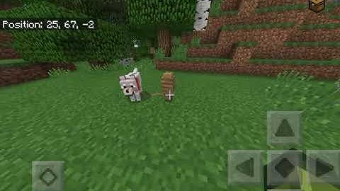 Minecraft pe 1.2.5  beta build 2 released!