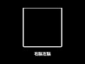 Tricot - 右脳左脳