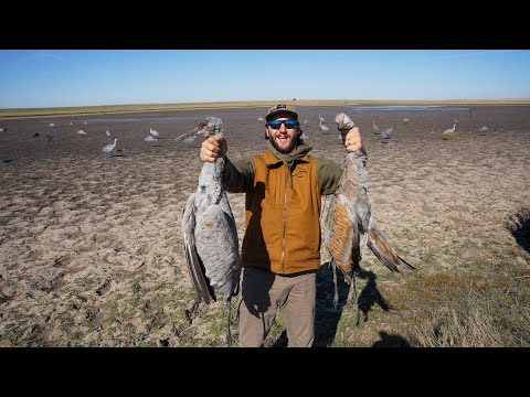 Hunting Giant Kansas Sandhill Cranes in October is Extremely Rare!!