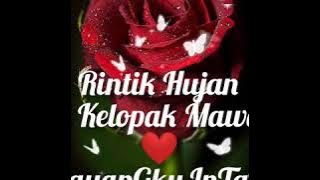 Rintik Hujan Di Kelopak Mawar 🌹 DayangKu InTaN