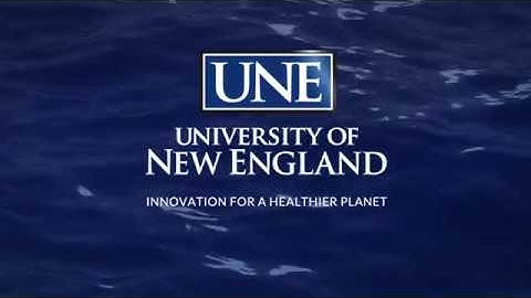 UNE Westbrook College of Health Professions Graduate Commencement Ceremony 2018