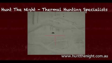 How good is the RL42? Raining, and wet, it still performs with ben from huntthenight.com.au