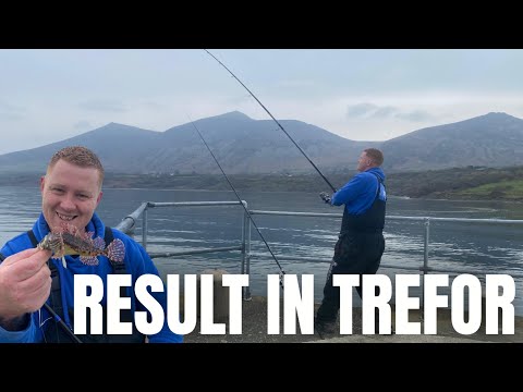 THAT'S A STUNNING FISH ‼️The Dolphins showed up too! Sea fishing Trefor | Llyn Peninsula