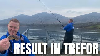 THAT'S A STUNNING FISH ‼️The Dolphins showed up too!  Sea fishing Trefor | Llyn Peninsula