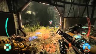 Evolve - Update 1.3 Balances
