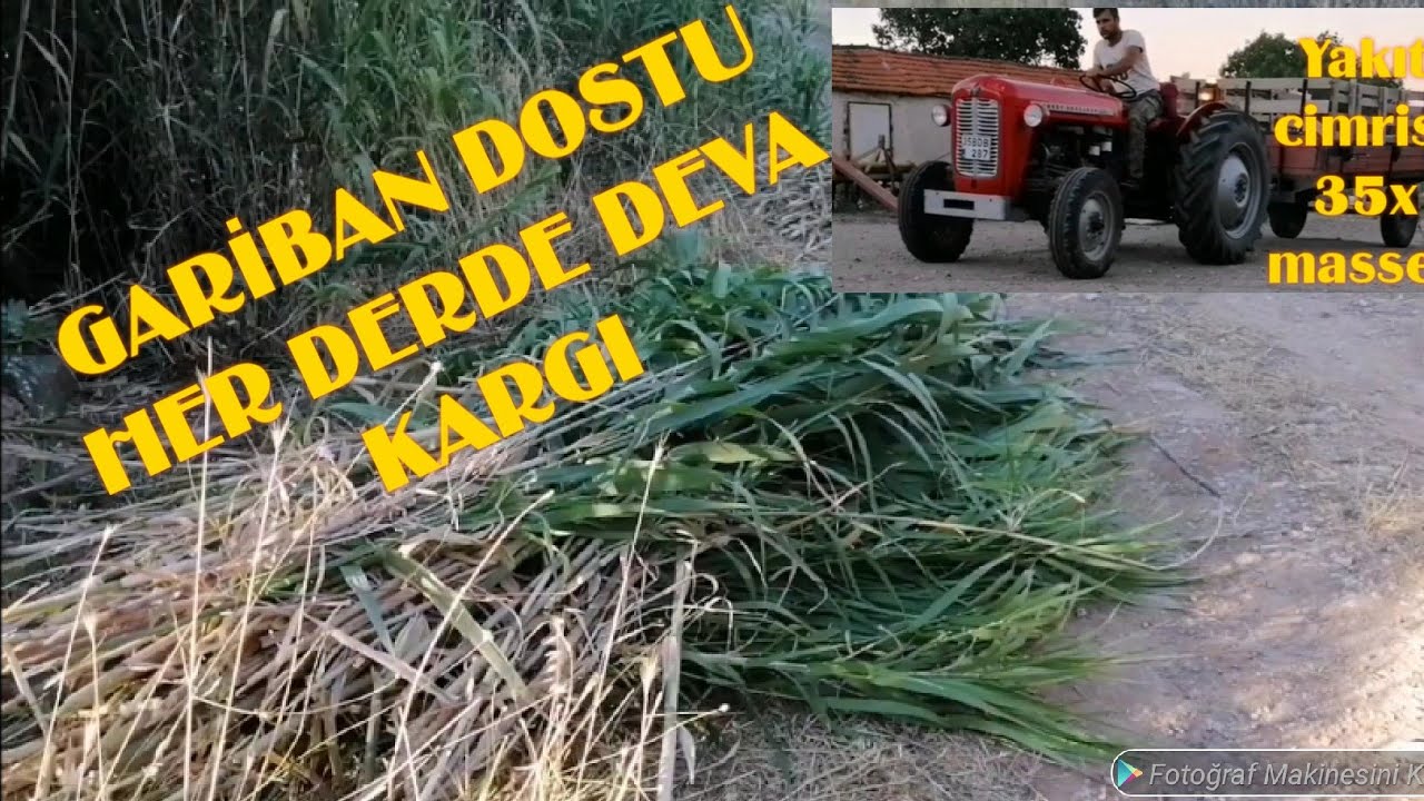 Evde serpme köy kahvaltısı- semaverde çay - 35x massey ile işler güçler