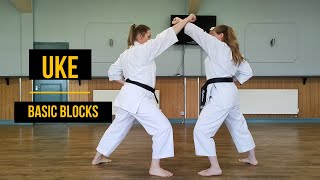 Basic karate Blocks