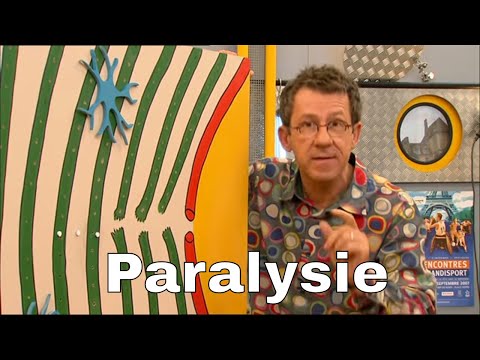 Vidéo: Paralysie Due à Une Lésion De La Moelle épinière Chez Le Chien
