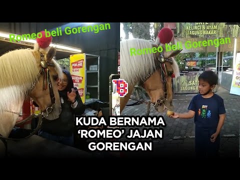 Kocak! Seekor kuda berlari jajan gorengan, warganet: bosan makan rumput | TRENDING
