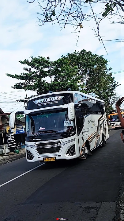 Basuri Stecu Stecu 12 Not Virall 🤩🔥|Bus Pariwisata🤍ASTERIO🤍#basuri#busbasuri#huntingbus#tyoproject