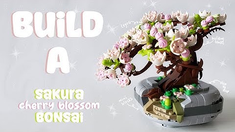 Build a Sakura🌸Cherry Blossom🌸Bonsai With Me | ASMR