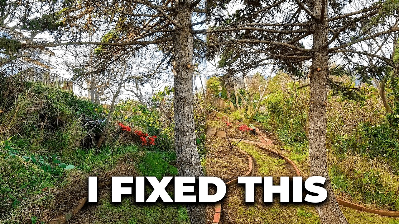 This Garden Was a Complete Jungle… Until Now - YouTube