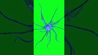 Neurofarmacologia: SM, Benzodiazepine e Antidepressivi #farmacologia  #medicina  #neurologia