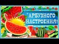 АРБУЗНОГО настроения!