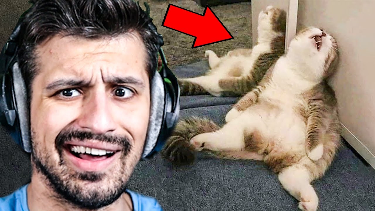 Τα Πιο Αστεία Βίντεο!