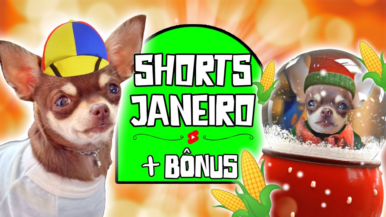 OS MELHORES SHORTS DO MÊS DE JANEIRO 2025 - COMPILADO PEQUENOS PRÍNCIPES