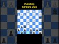 Punishing Scholar’s Mate ♟️ Turn the Trap Around! #shorts  #ytshorts  #chess  #chesstraps