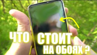 🤔🔥ЧТО СТОИТ НА ОБОЯХ?!🤔🔥, Видео с телеграмма Макса Ващенко 🔥 @max.vashchenko @vashchenko_live