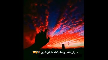 أجمل حالات واتس اب ||تلاوة رائعة هزاع البلوشي🧡🧡