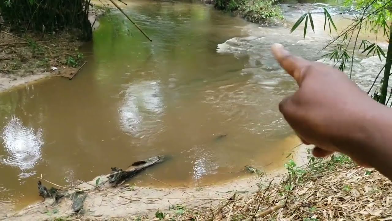 Two Rivers Meet Here To Make Up The SLAVE RIVER In Ghana | Assin Manso | Picabolo Tv Gh