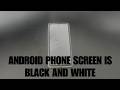 Why Does My Android Phone Screen Turn Black and White? How to Get Display Back to Normal Color?