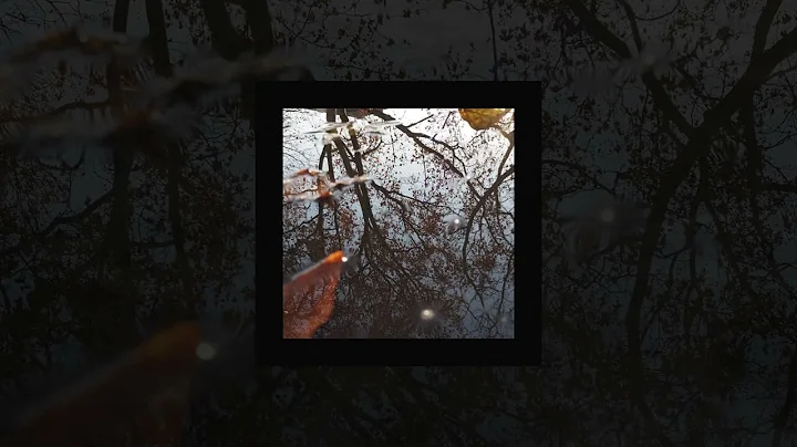 Borrtex - Outward (Official Audio)