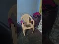 #low budget traditional house in tamilnadu#budget house in tamil#small budget house in tamilnadu