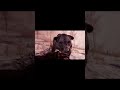 #farcryprimalgameplay